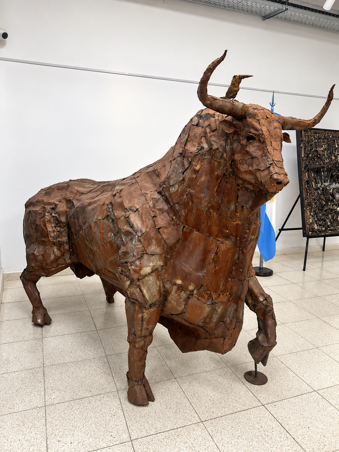 Toro